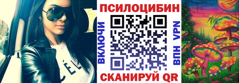 Галлюциногенные грибы Psilocybine cubensis Мурино